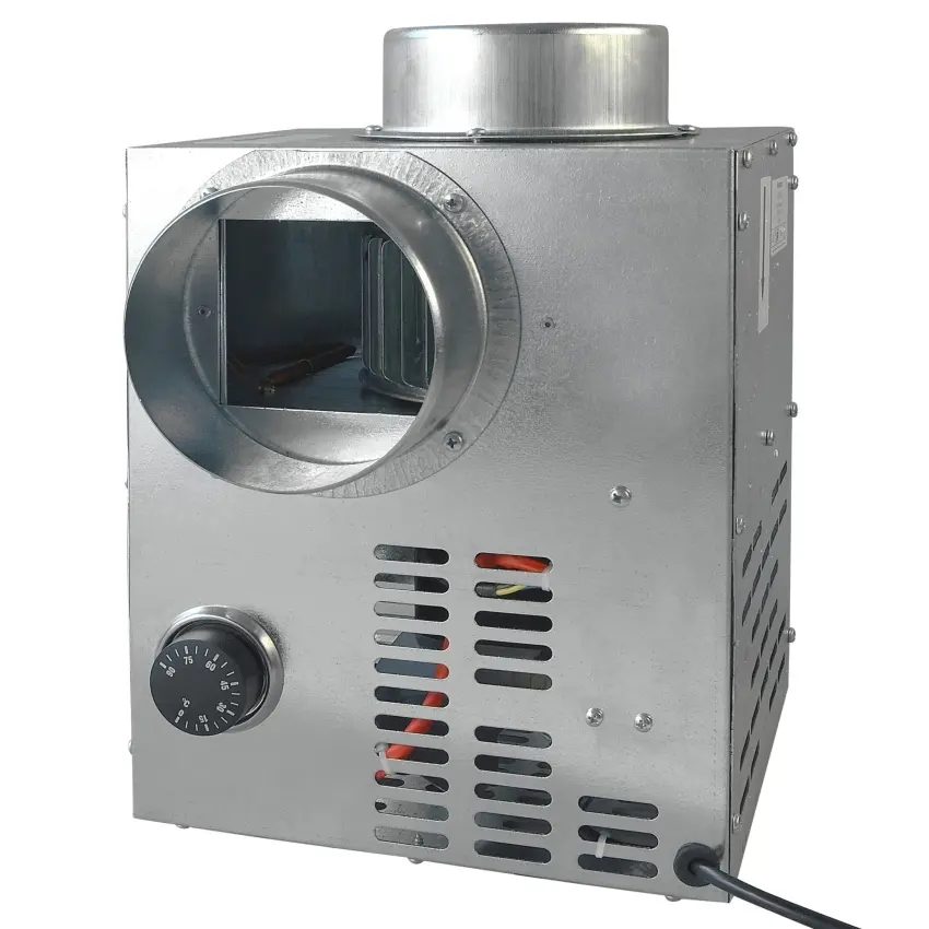 ELEM_1009642.jpg