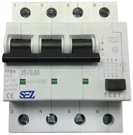SEZ_PFB4_25_0_03.jpg