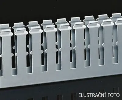 SM_T1_F_ilustr.jpg