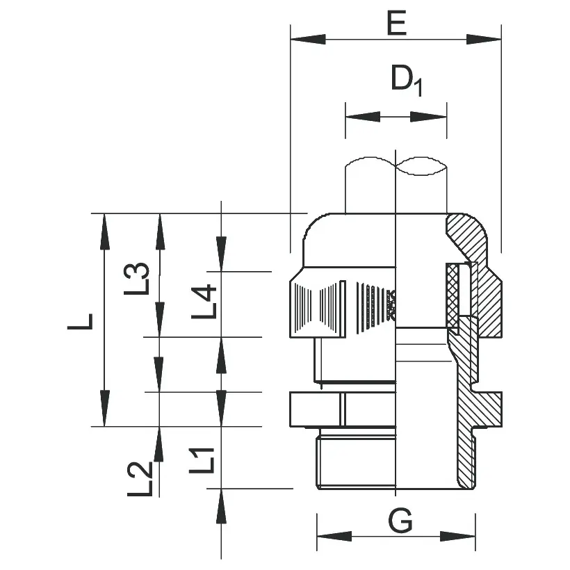 OBO_2050307_MZ1.jpg