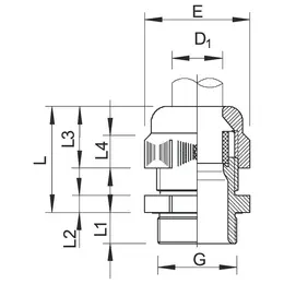 OBO_2050307_MZ1.jpg