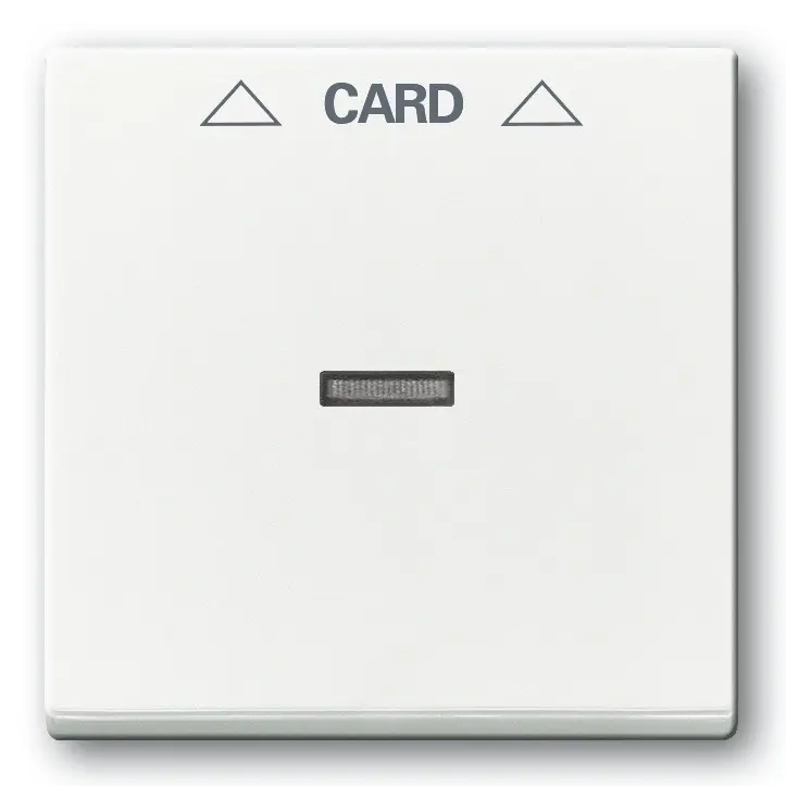 abb_future_spinace_kartove.jpg