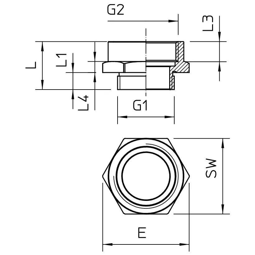 OBO_2088295_MZ2.jpg
