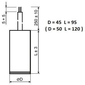 DNA_MPB0400060.jpg
