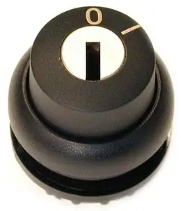 EA_216889.jpg