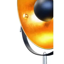 GLO_40150145X_5.jpg