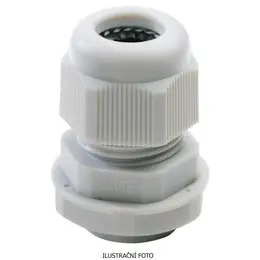 GW_GW10006596_ilustr.jpg