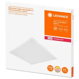 LDV_asset-8737071.jpg