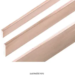 SM_PH4161_ilustr.jpg