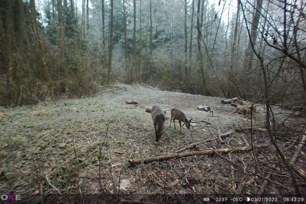 VAR_11850.jpg
