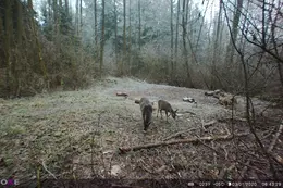 VAR_11850.jpg