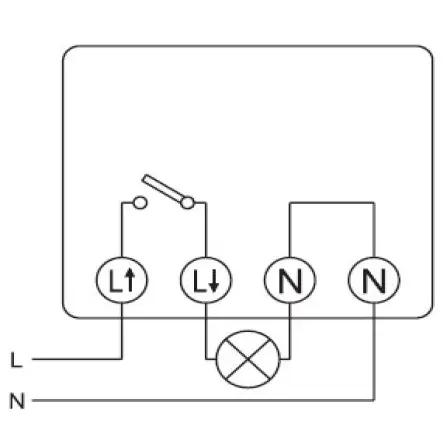 ELEM_856_3.jpg