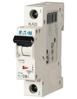 EA_sg01212.jpg