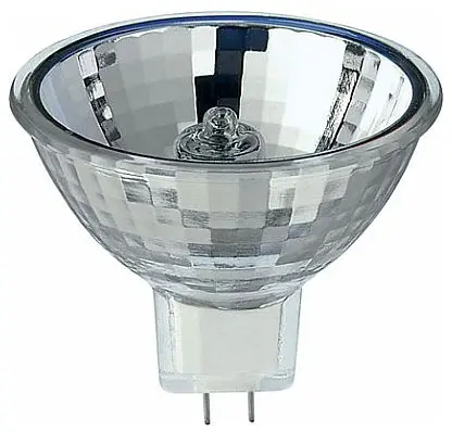 DJM_14501.jpg