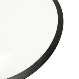 NED_LCL555B_11.jpg
