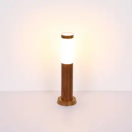GLO_3158W_t.jpg