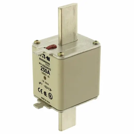 EA_PDM24064557.jpg