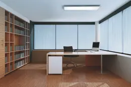 LDV_asset-11165340.jpg