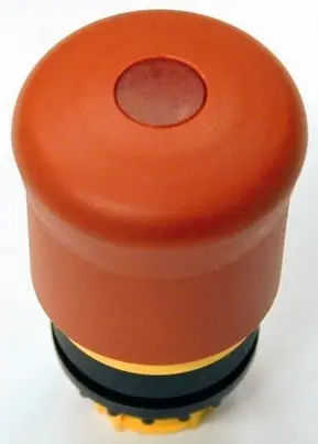 EA_RM22-PVL.jpg