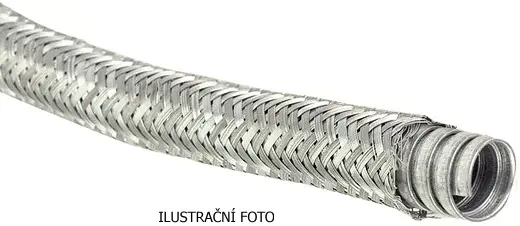 IES_DMTN_ILUSTR.jpg