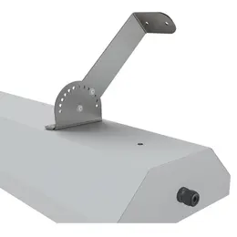 TRE_trex-07.jpg