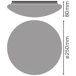 LDV_asset-3602372.jpg