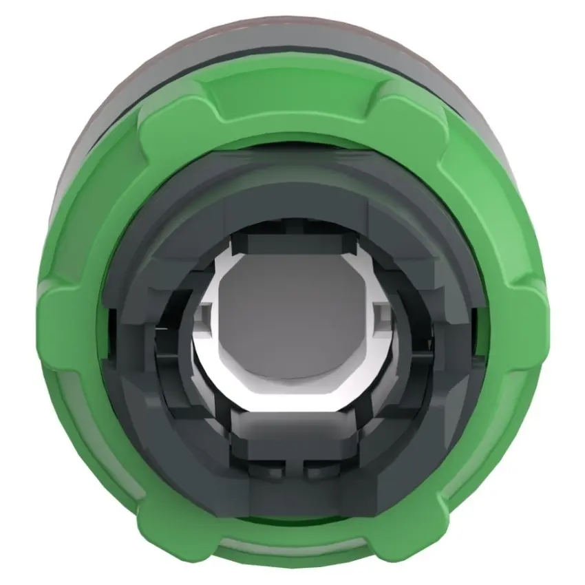 SCH_ZB5AW943_Altern_Rear_2022_1500x1500.jpg