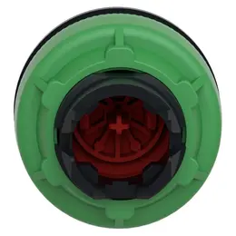 SCH_ZB5FA4_Rear_1500x1500.jpg