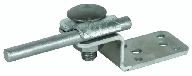 3414979_7719145.jpg