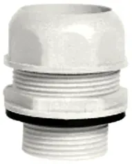 SM_RAPG_116.jpg