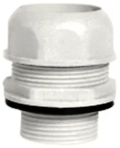 SM_RAPG_116.jpg