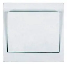 TES_4fn58000_901.jpg