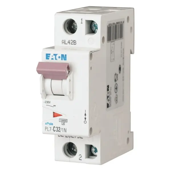 EA_sg08212.jpg