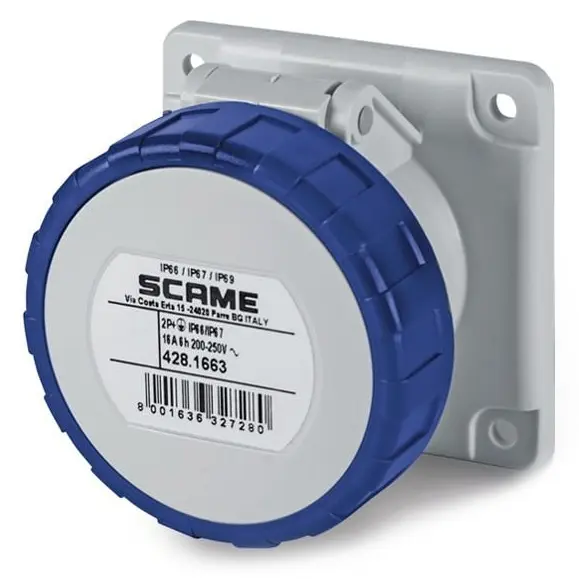 SCA_4281663.jpg