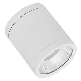LDV_asset-13087251.jpg