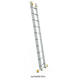 ALVE_8514_ilustr.jpg