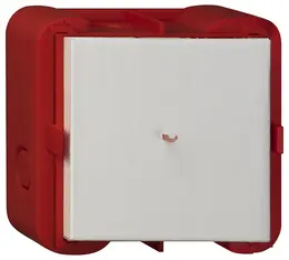 SBS_G289100.jpg
