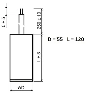 DNA_MPB12000060.jpg