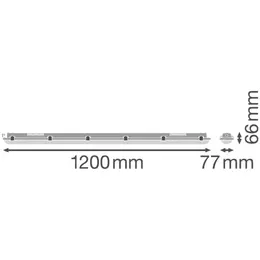 LDV_asset-6378941.jpg