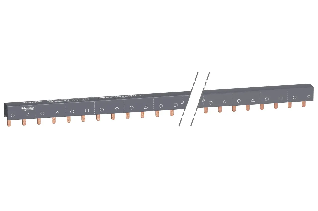 SCH_PB110249.jpg