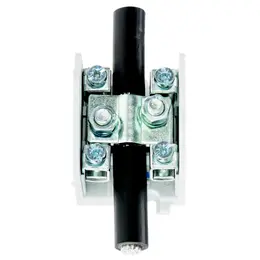 ELEM_1000876_4.jpg