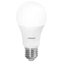 LDV_asset-13020885.jpg