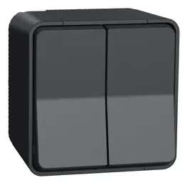 SCH_MUR35022_IoPdef_PMP19.jpg