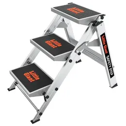 LAGIS_10310AEN.jpg