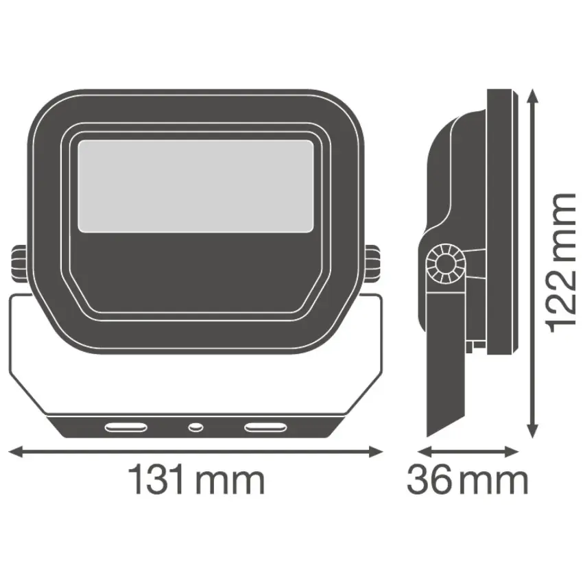 LDV_asset-8905386.jpg