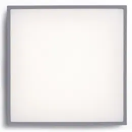 AUL_R11967_235276.jpg