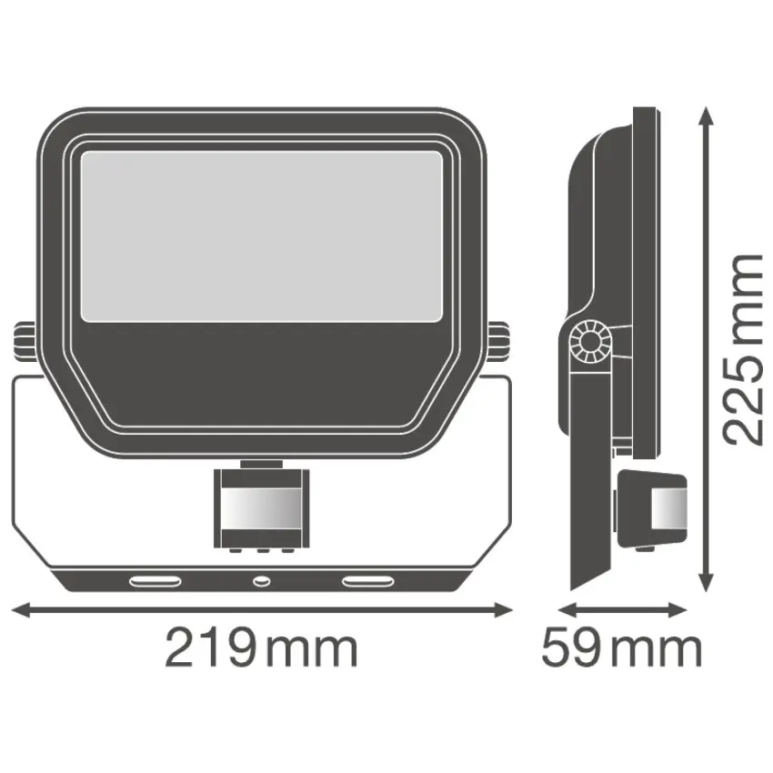 LDV_asset-9913162.jpg