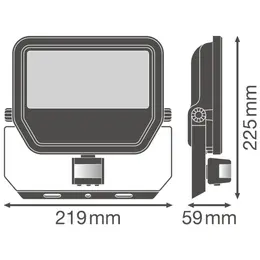 LDV_asset-9913162.jpg