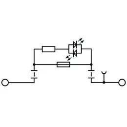 WM_PV_176395000091.jpg