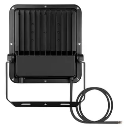 LDV_asset-11016335.jpg